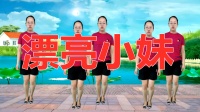 DJ广场舞教学视频免费《漂亮小妹》初学最简