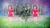 长发阿莲广场舞《不要错过我最美的年华》广