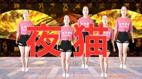 dj广场舞教学视频《夜猫》简单八步广场舞视