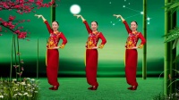广场舞视频大全《九九女儿红》初学广场舞一