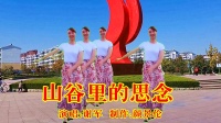 2020年最火的广场舞《山谷里的思念》锻炼身