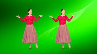 2020最新广场舞《伤心的雪花》初学广场舞一