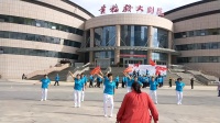 春梅广场舞《不过人间》广场舞基本舞步入门