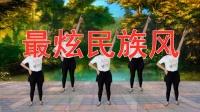 经典DJ广场舞《最炫民族风》广场舞基本舞步