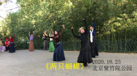 广场舞《两只蝴蝶》4步广场舞基本步法视频m