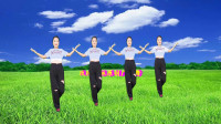 广场舞《梦中等着你》简单广场舞视频大全慢