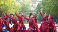 玲珑广场舞《鸿雁》初学跳舞一步一步教视频