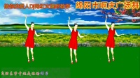 广场舞《做你的爱人Dj》最简单广场舞教学视