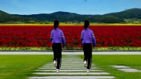 金社晓晓广场舞《情相依爱相守》背面演示高
