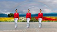 金社晓晓广场舞《人的这一生》初学广场舞一