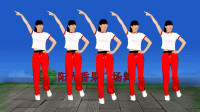 DJ广场舞《月亮变了我不变》好听好看活力动
