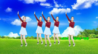 DJ广场舞《妹妹往哪走》简单易学人见人爱原