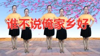 DJ广场舞《谁不说俺家乡好》简单动感醉人醉