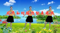 广场舞《花开的时候你就来看我》动感32步附