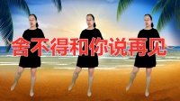 DJ广场舞《舍不得和你说再见》舞姿性感好看
