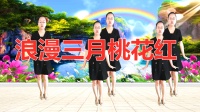 DJ广场舞《浪漫三月桃花红》节奏欢快动感简
