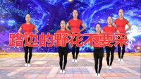 原创DJ广场舞《路边的野花不要采》简单易学
