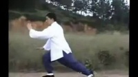 傅清泉传统杨式太极拳85式（带口令）全套演练视频mp4免费下载下载