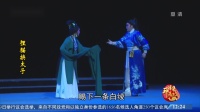 芗剧《狸猫换太子》第2集视频在线观看