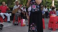 泗州戏大全在线播放《杨秀英进京》表演者 