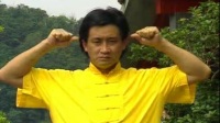 达摩易筋经之撤放图视频mp4免费下载