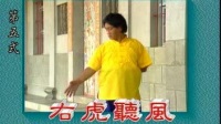 达摩易筋经之导引图视频mp4免费下载