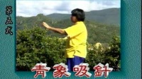 达摩易筋经之千八攒 视频mp4免费下载