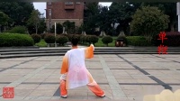 陈氏太极拳精要十八式背向字幕视频mp4免费下载下载