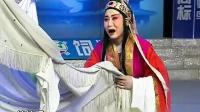 秦腔折子戏《红楼梦宝玉哭灵》视频mp4免费下载 主演 杨升娟 李雪下载