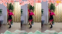 广场舞入门教学视频《家在御江南》弹跳32步