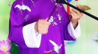 京东大鼓《珍惜生命》薛宗来演唱高清视频mp