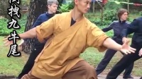 易筋经十二式全套教学 高清视频mp4免费下载