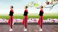初学最简单的广场舞《我把真心错给了人》混