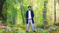传统八段锦全套动作详解视频mp4免费下载
