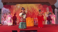 淮剧大全淮剧全场视频下载《打金枝》 星光