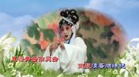 淮剧下载mp4免费下载《白雪皑皑如戴孝》夏爱珍演唱下载