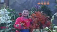 湖南花鼓戏下载免费视频观看《卡拉OK专辑》02 主演 周春桃 丁向荣 余力军 胡进牛下载