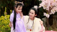华洛歌仔戏《柳君拂》第十六集 高清视频mp4