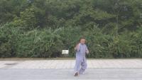 范宏跃杨氏太极拳入门套路演示视频mp4免费