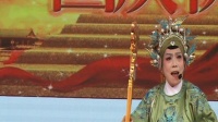 黄梅戏mp4下载免费下载《佘太君抗婚》表演者 梁大英下载