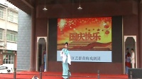 黄梅戏mp4下载免费下载《望郎归》表演者 王