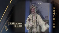昆曲免费下载MP4《游园惊梦》表演 杨春霞 陆焕英下载