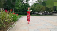 广场舞视频大全简单版《十送红军》正面示范