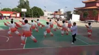 山鹰太极队新偏28式太极拳视频mp4免费下载下载