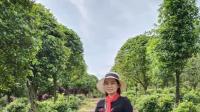 最新广场舞视频大全《青山一别》正背面一起