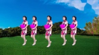 华美广场舞《万水千山总是情》动作简单大方