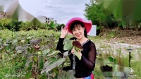 广场舞健身操减肥操《和为贵金社》每天坚持
