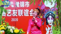 二人转小帽单出头《红月娥做梦》何玉芹表演