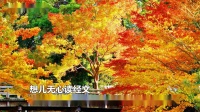 淮剧《莲花庵》俺堂会子 卡拉OK伴奏视频mp4