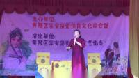 楚剧《年复年》许玉兰演唱视频mp4免费下载